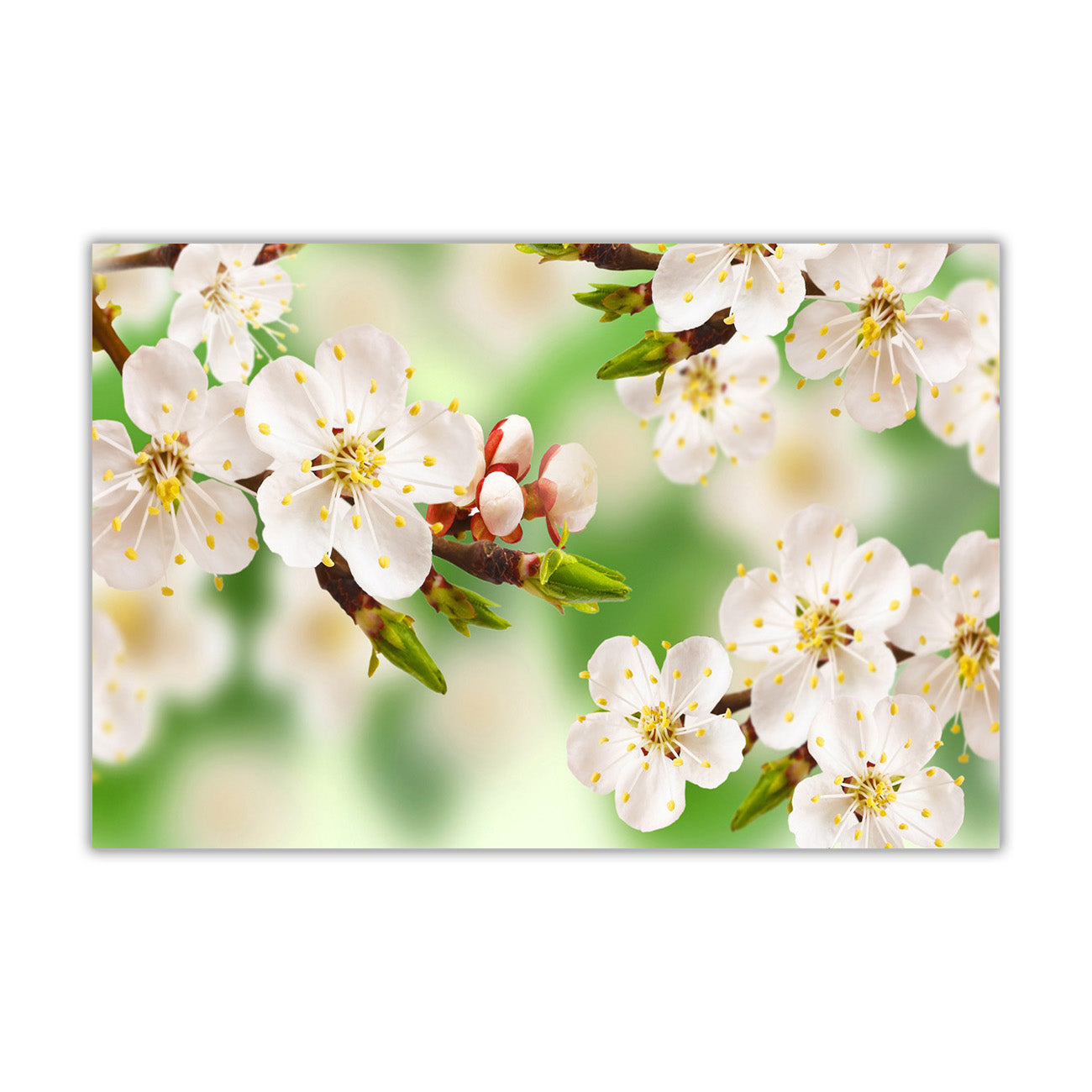 Green Spring Blossom Canvas Wall Art Picture Print for the Living Room, Bedroom, Home Decor
