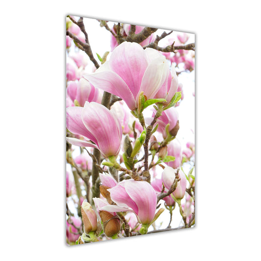 Magnolia Canvas Wall Art Picture Print for the Living Room, Bedroom, Home Decor