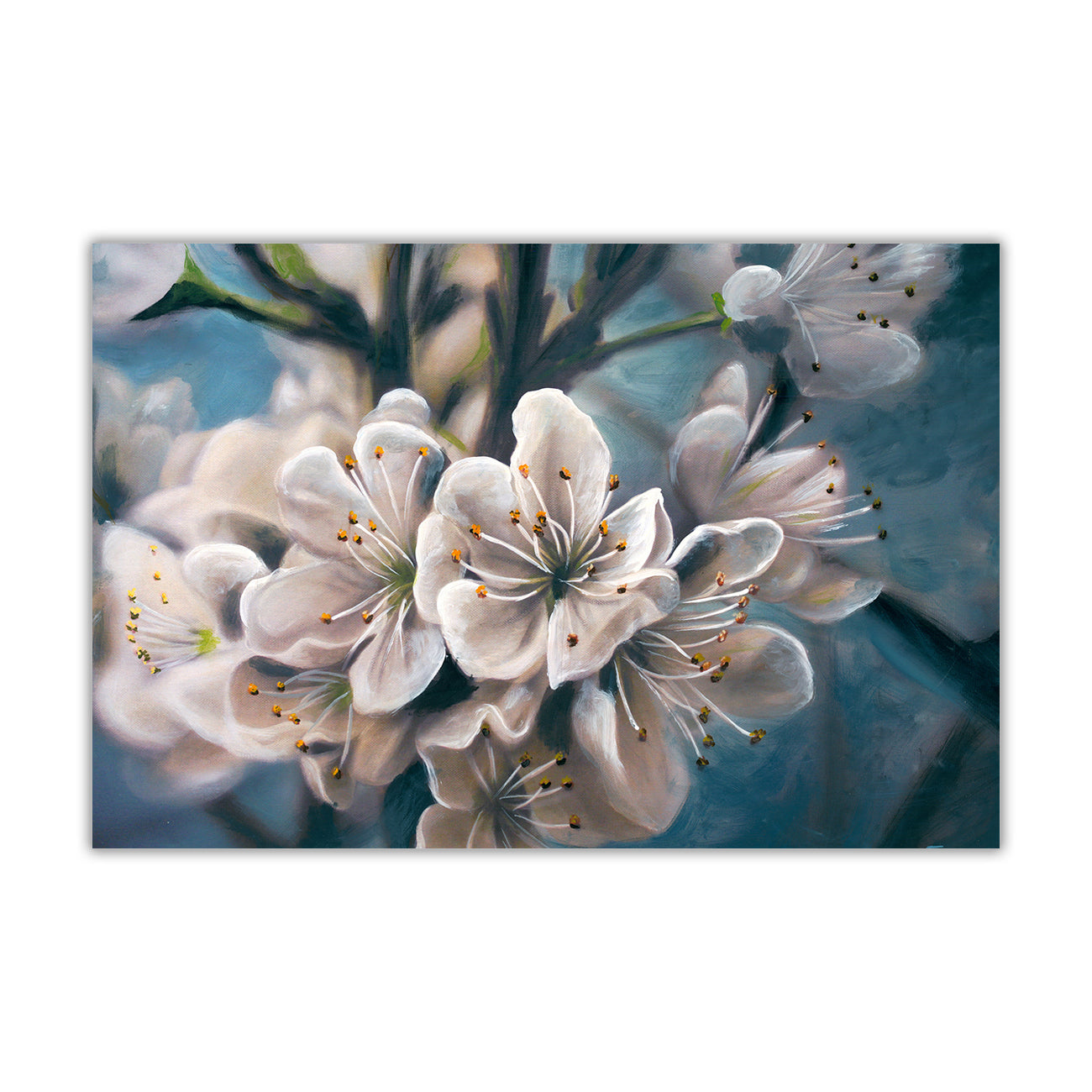 Mock Orange Flower Canvas Wall Art Picture Print for the Living Room, Bedroom, Home Decor