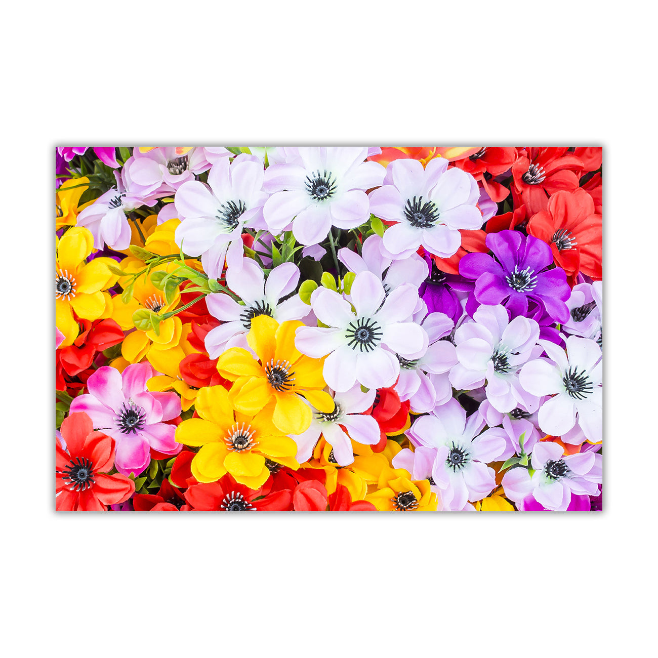Multi Coloured Flowers Canvas Wall Art Picture Print for the Living Room, Bedroom, Home Decor