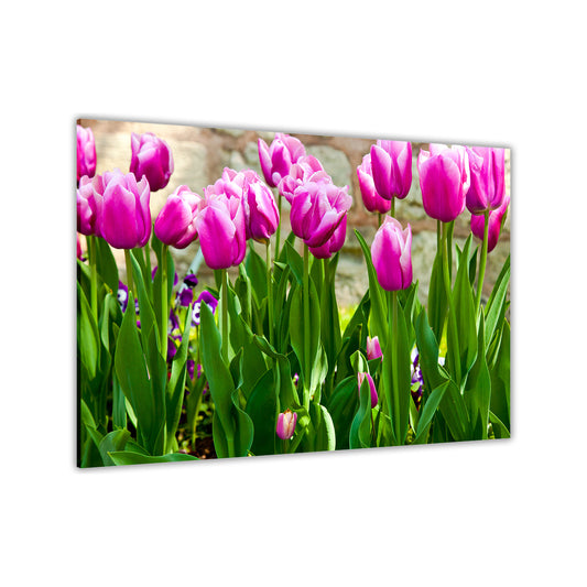 Pink Tulips Canvas Wall Art Picture Print for the Living Room, Bedroom, Home Decor