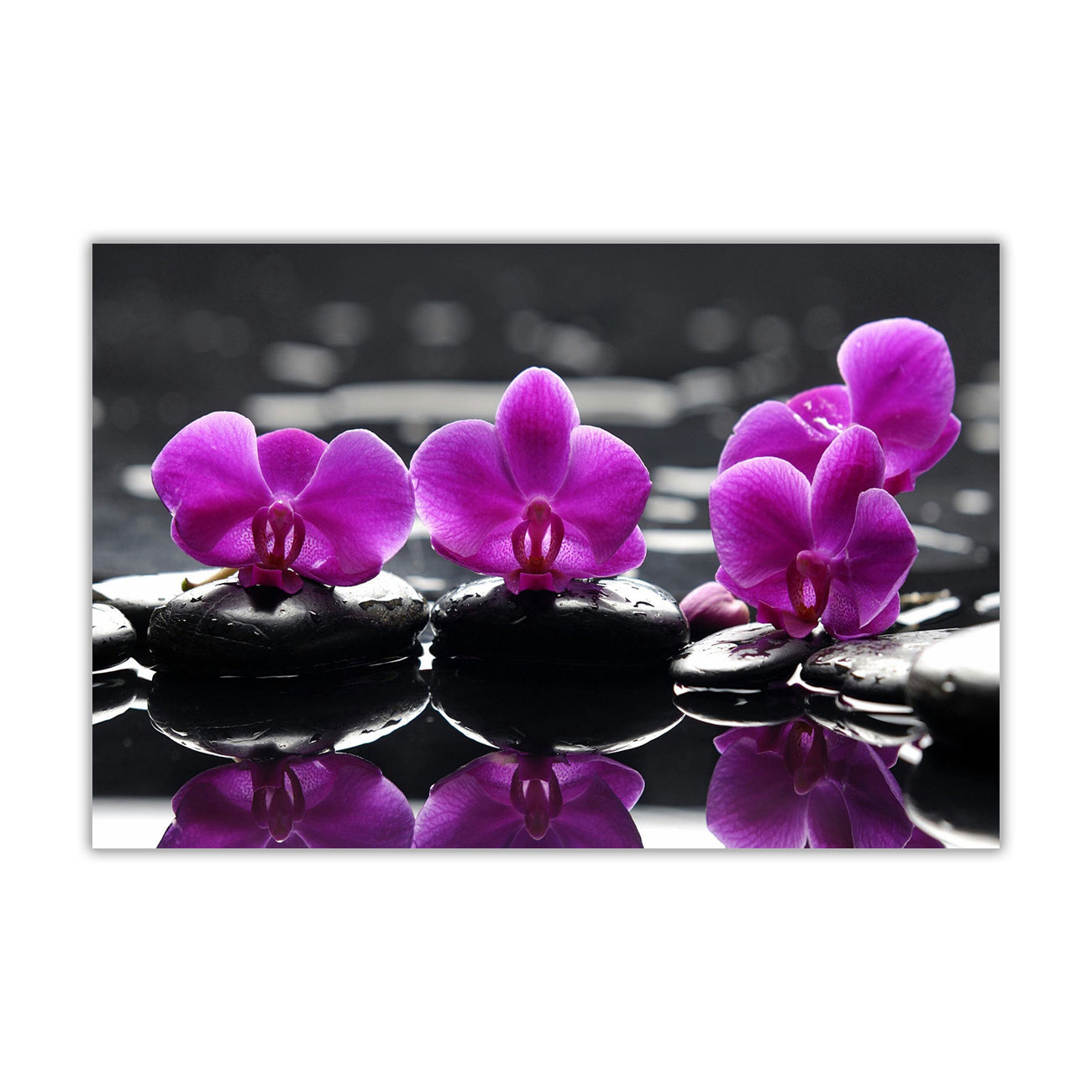 Purple Rose On Water Canvas Wall Art Picture Print for the Living Room, Bedroom, Home Decor