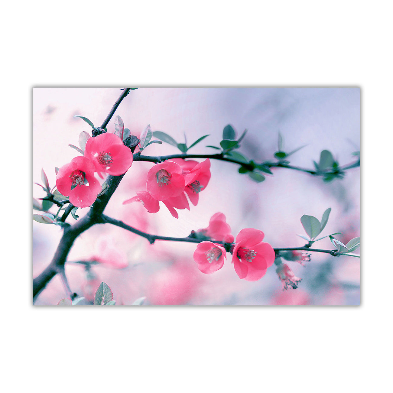 Purple Spring Blooming Flower Canvas Wall Art Picture Print for the Living Room, Bedroom, Home Decor