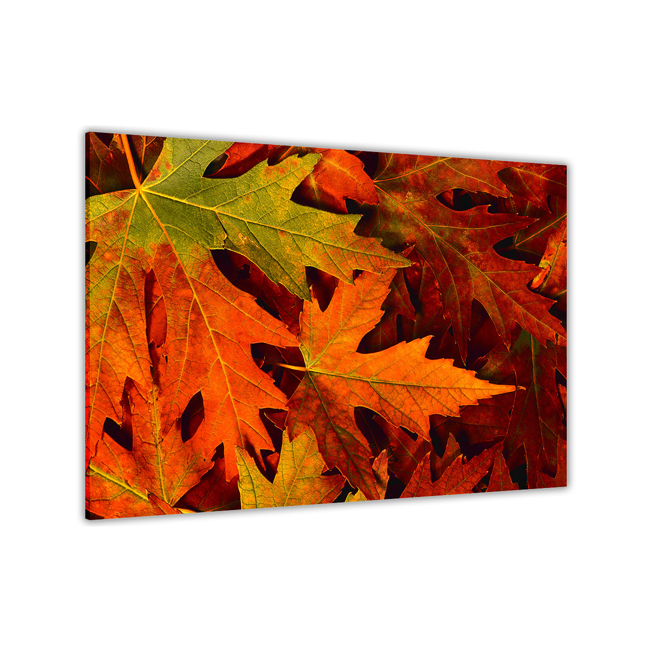 Red Autumn Leaves Canvas Wall Art Picture Print for the Living Room, Bedroom, Home Decor
