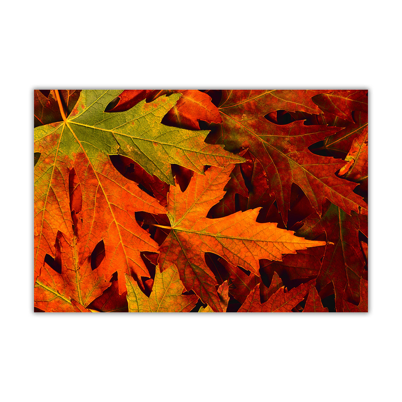 Red Autumn Leaves Canvas Wall Art Picture Print for the Living Room, Bedroom, Home Decor