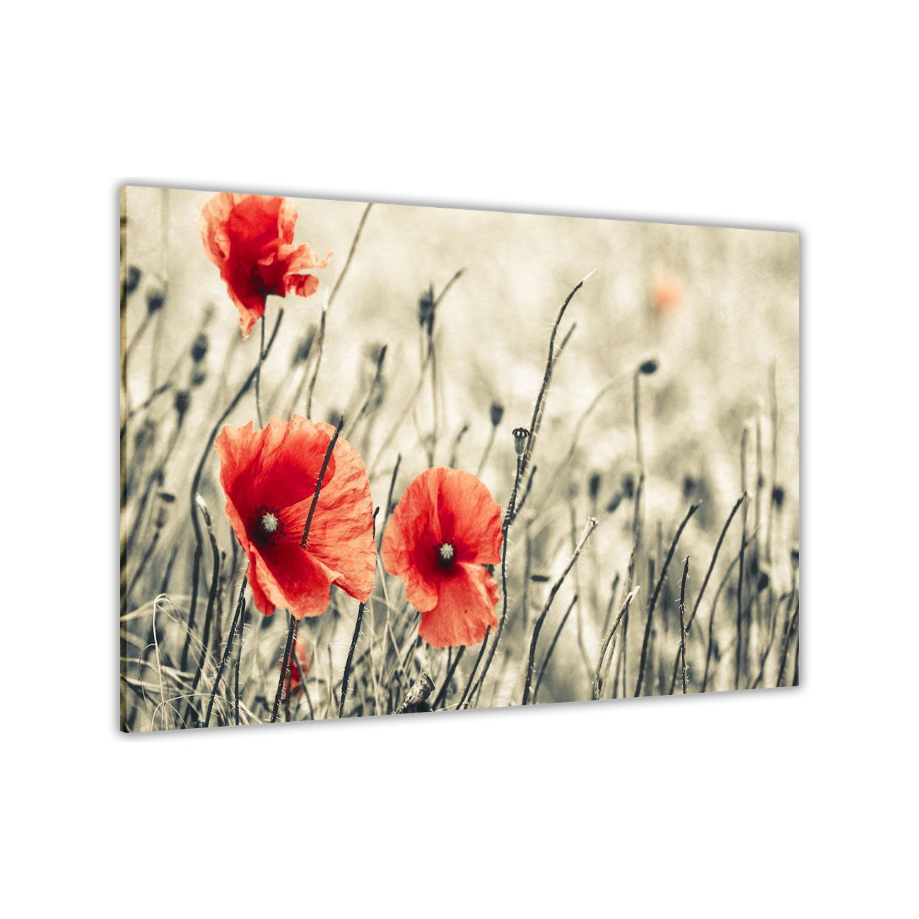 Sepia Red Flower Canvas Wall Art Picture Print for the Living Room, Bedroom, Home Decor