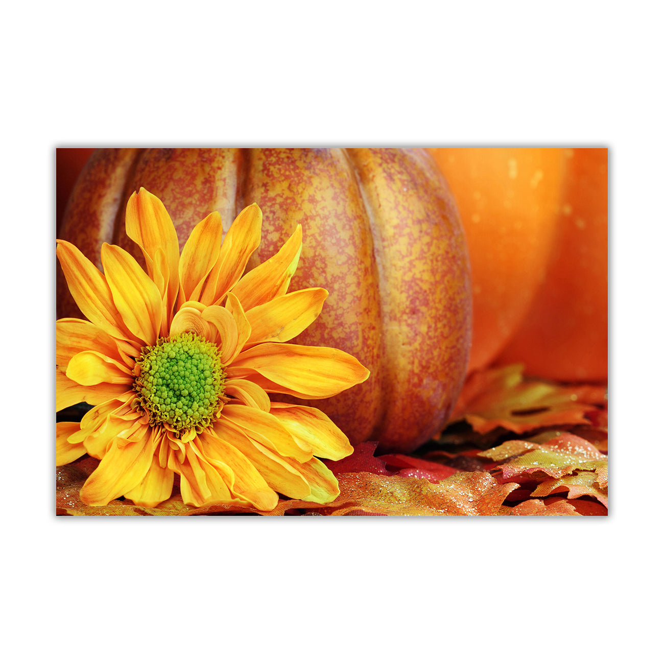 Sunflower Pumpkin Canvas Wall Art Picture Print for the Living Room, Bedroom, Home Decor