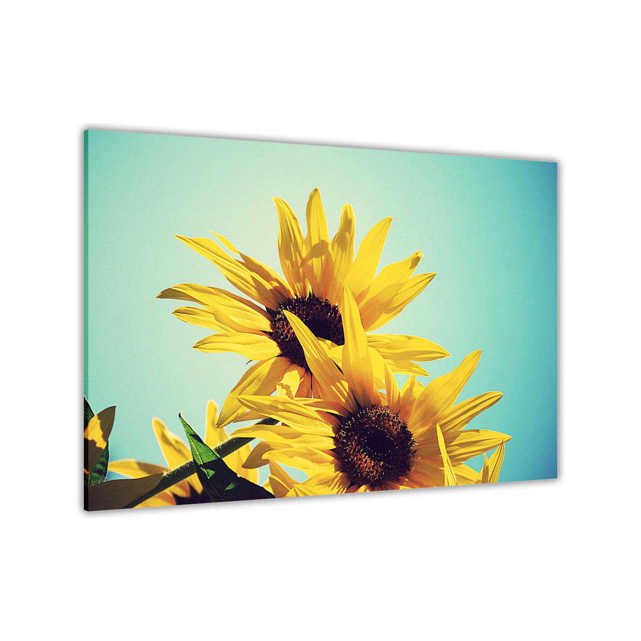 Yellow Sunflower Canvas Wall Art Picture Print for the Living Room, Bedroom, Home Decor