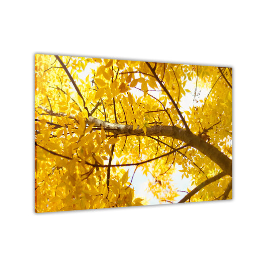 Yellow Tree Canvas Wall Art Picture Print for the Living Room, Bedroom, Home Decor