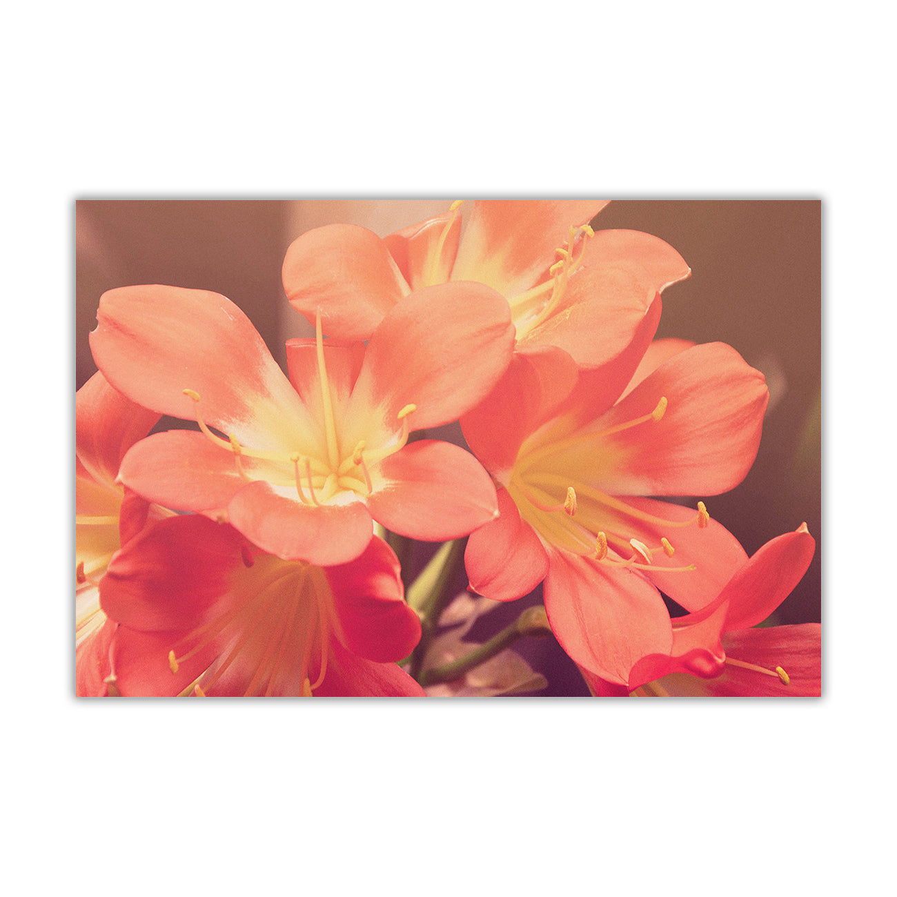 Japanese Lilies Canvas Wall Art Picture Print for the Living Room, Bedroom, Home Decor