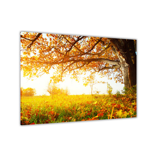 Beautiful Autumn Sun Canvas Wall Art Picture Print for the Living Room, Bedroom, Home Decor