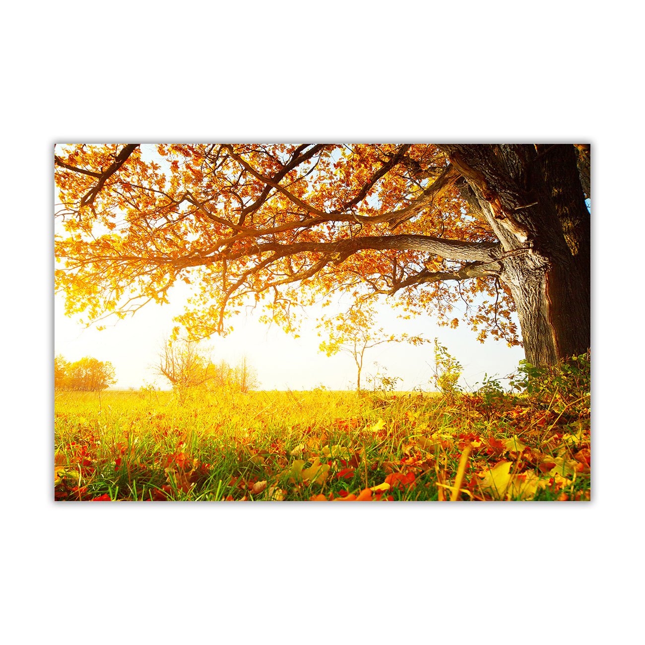 Beautiful Autumn Sun Canvas Wall Art Picture Print for the Living Room, Bedroom, Home Decor