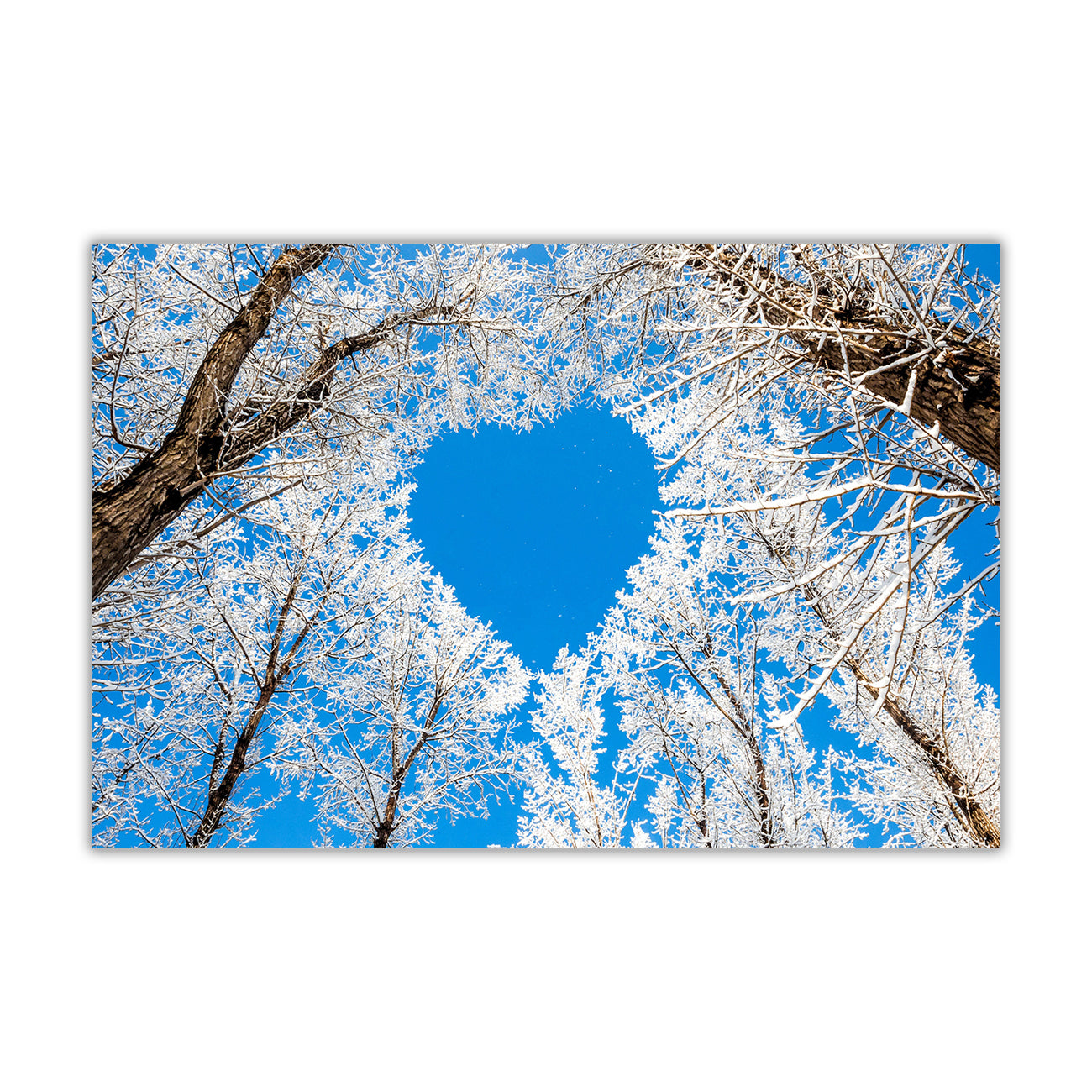 Blue Heart Forest Canvas Wall Art Picture Print for the Living Room, Bedroom, Home Decor