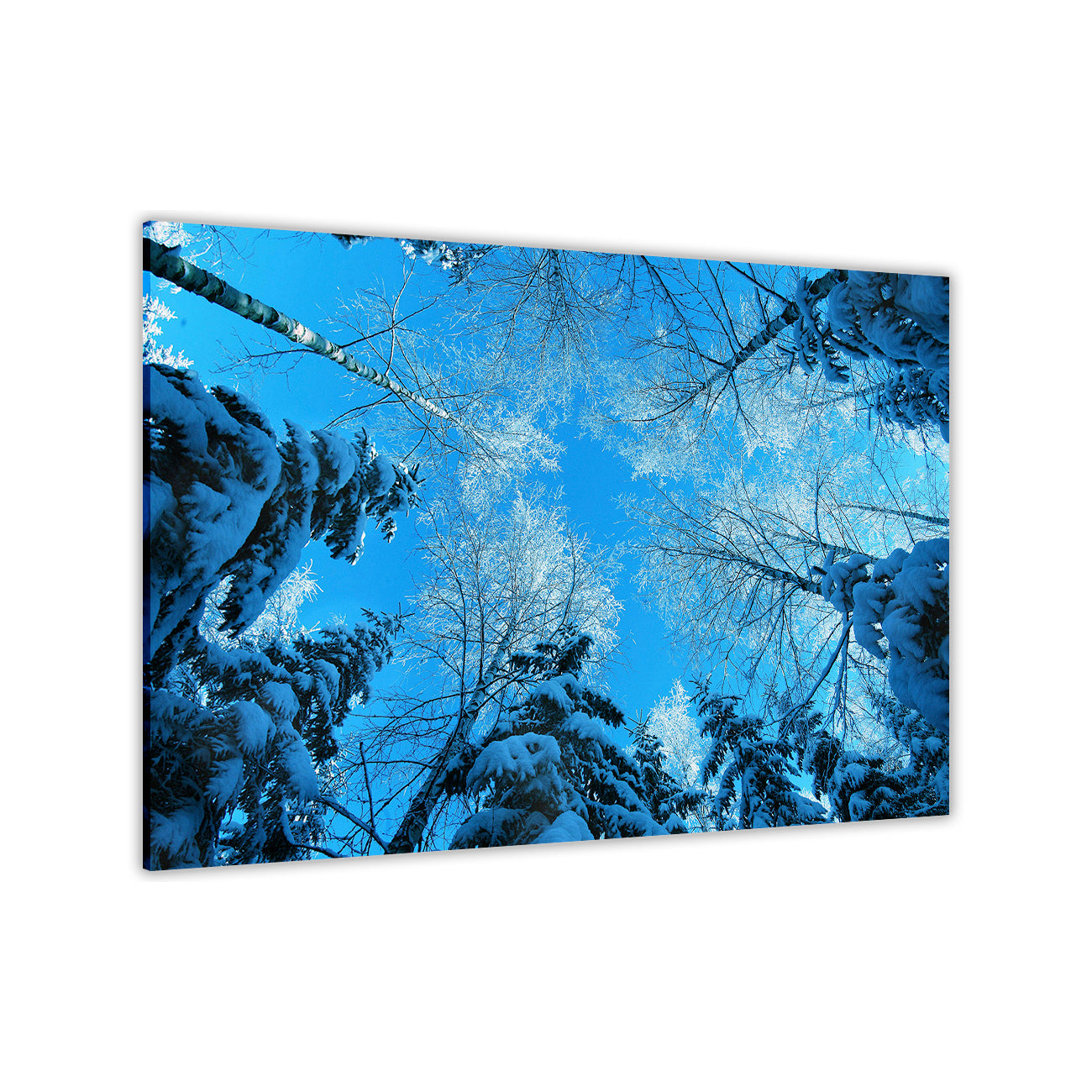 Blue Winter Trees Canvas Wall Art Picture Print for the Living Room, Bedroom, Home Decor