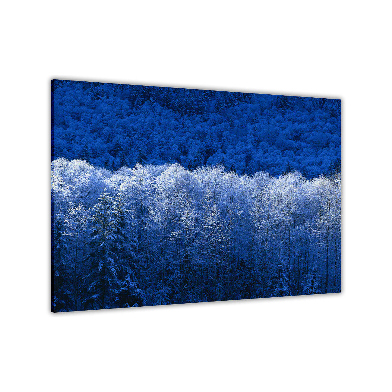 Blue Winter Forest Canvas Wall Art Picture Print for the Living Room, Bedroom, Home Decor