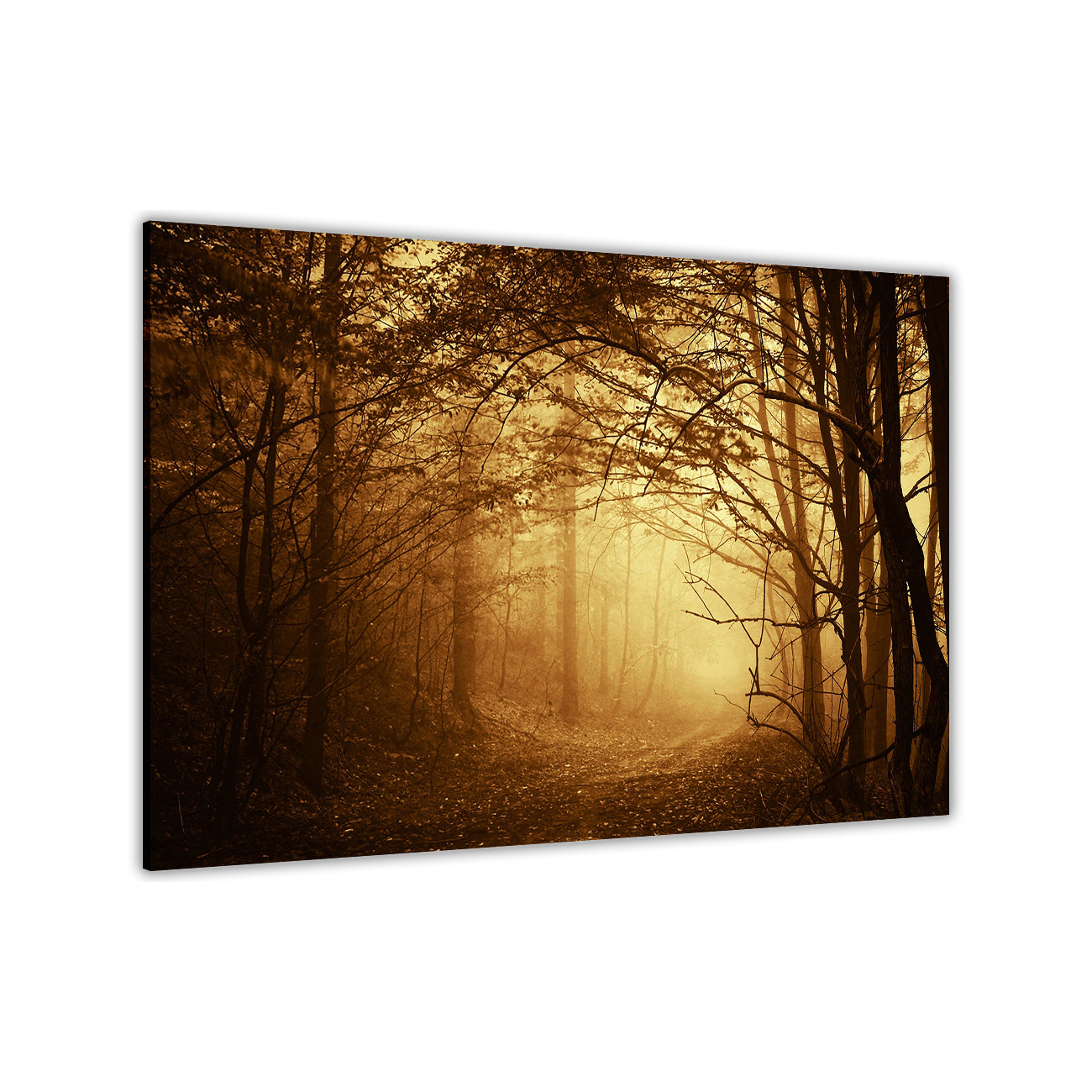 Dark Misty Forest Canvas Wall Art Picture Print for the Living Room, Bedroom, Home Decor