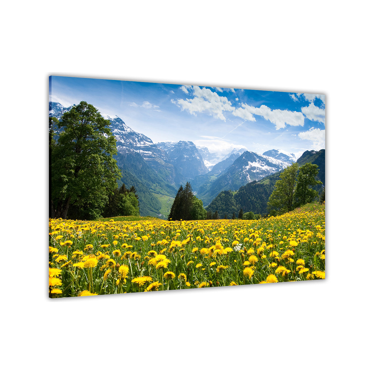 Flower Field Mountains Canvas Wall Art Picture Print for the Living Room, Bedroom, Home Decor
