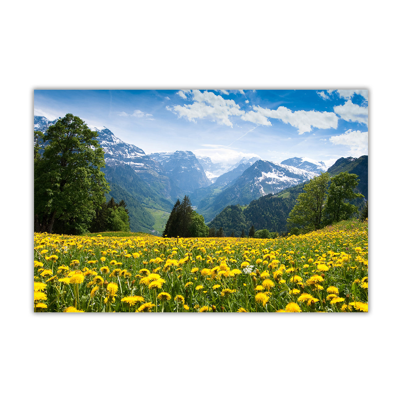 Flower Field Mountains Canvas Wall Art Picture Print for the Living Room, Bedroom, Home Decor