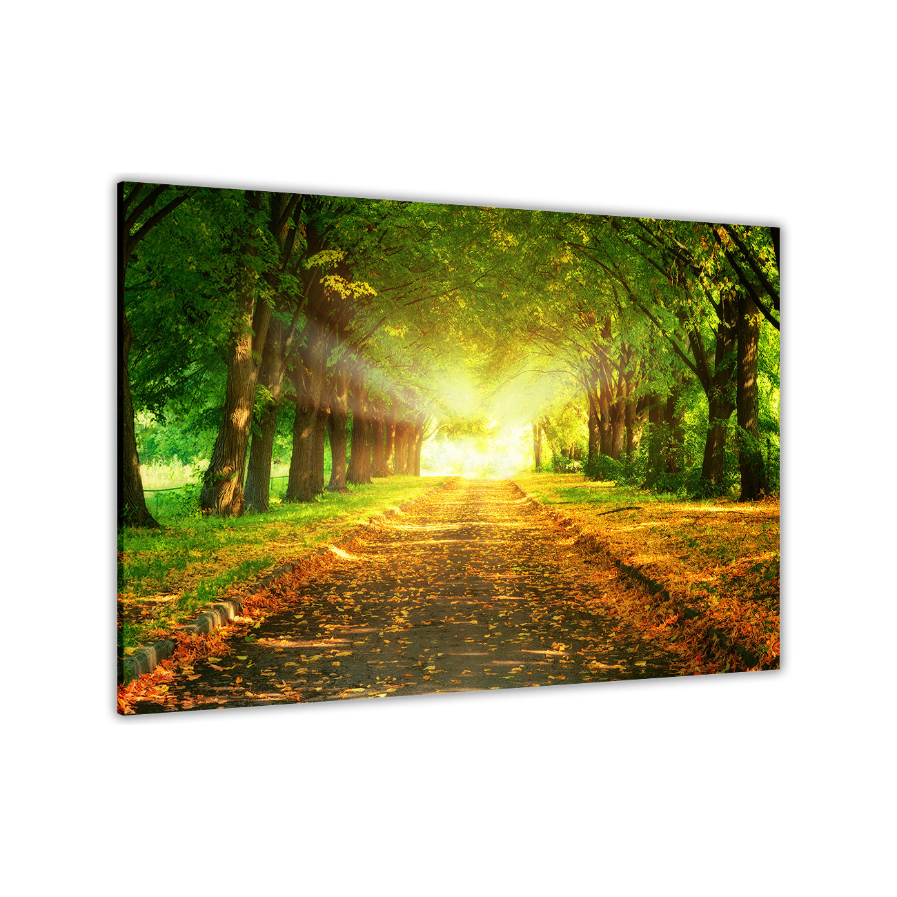 Majestic Road Canvas Wall Art Picture Print for the Living Room, Bedroom, Home Decor