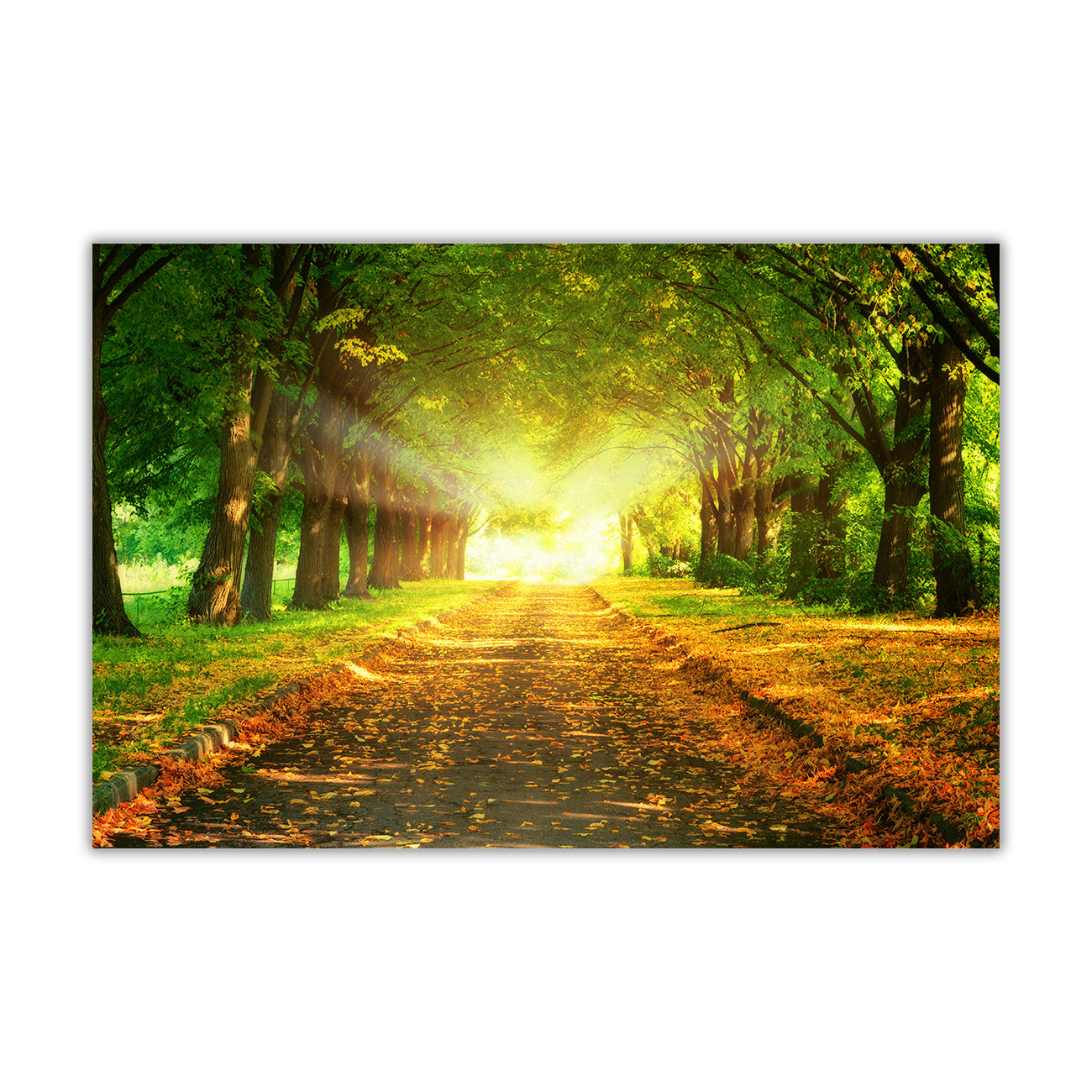 Majestic Road Canvas Wall Art Picture Print for the Living Room, Bedroom, Home Decor