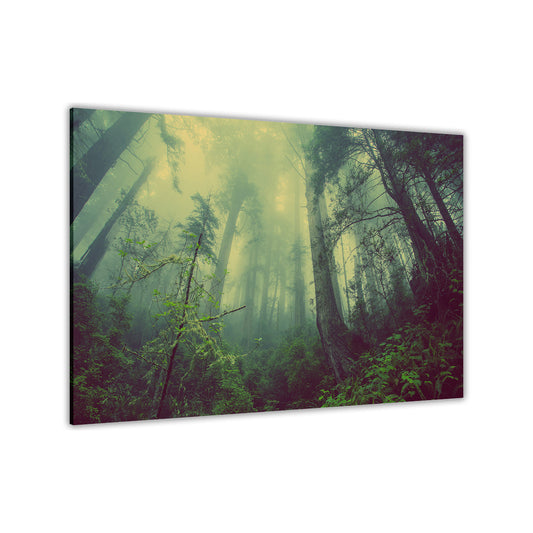 Misty Forest Canvas Wall Art Picture Print for the Living Room, Bedroom, Home Decor