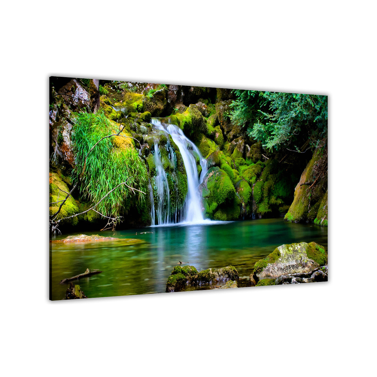 Natures Fresh Water Canvas Wall Art Picture Print for the Living Room, Bedroom, Home Decor