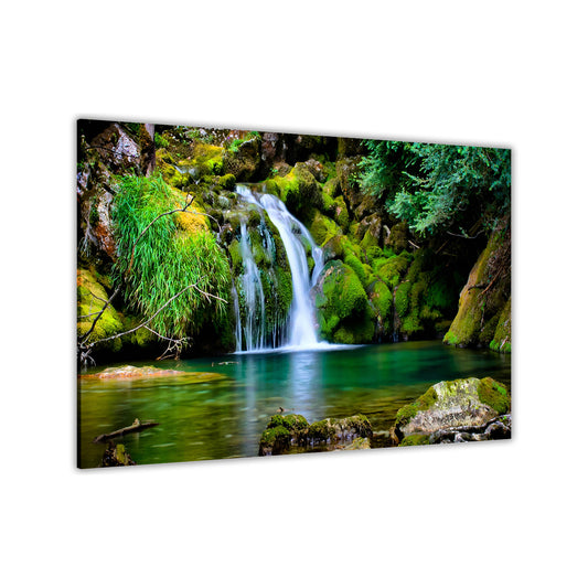 Natures Fresh Water Canvas Wall Art Picture Print for the Living Room, Bedroom, Home Decor
