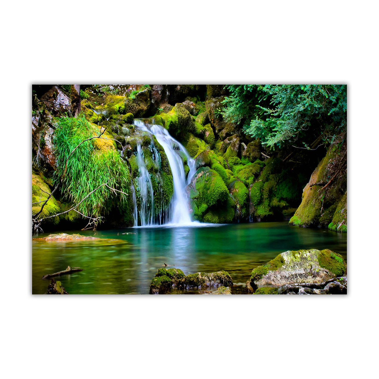 Natures Fresh Water Canvas Wall Art Picture Print for the Living Room, Bedroom, Home Decor