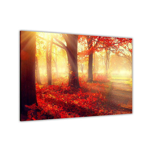 Sunshine Autumn Forest Canvas Wall Art Picture Print for the Living Room, Bedroom, Home Decor