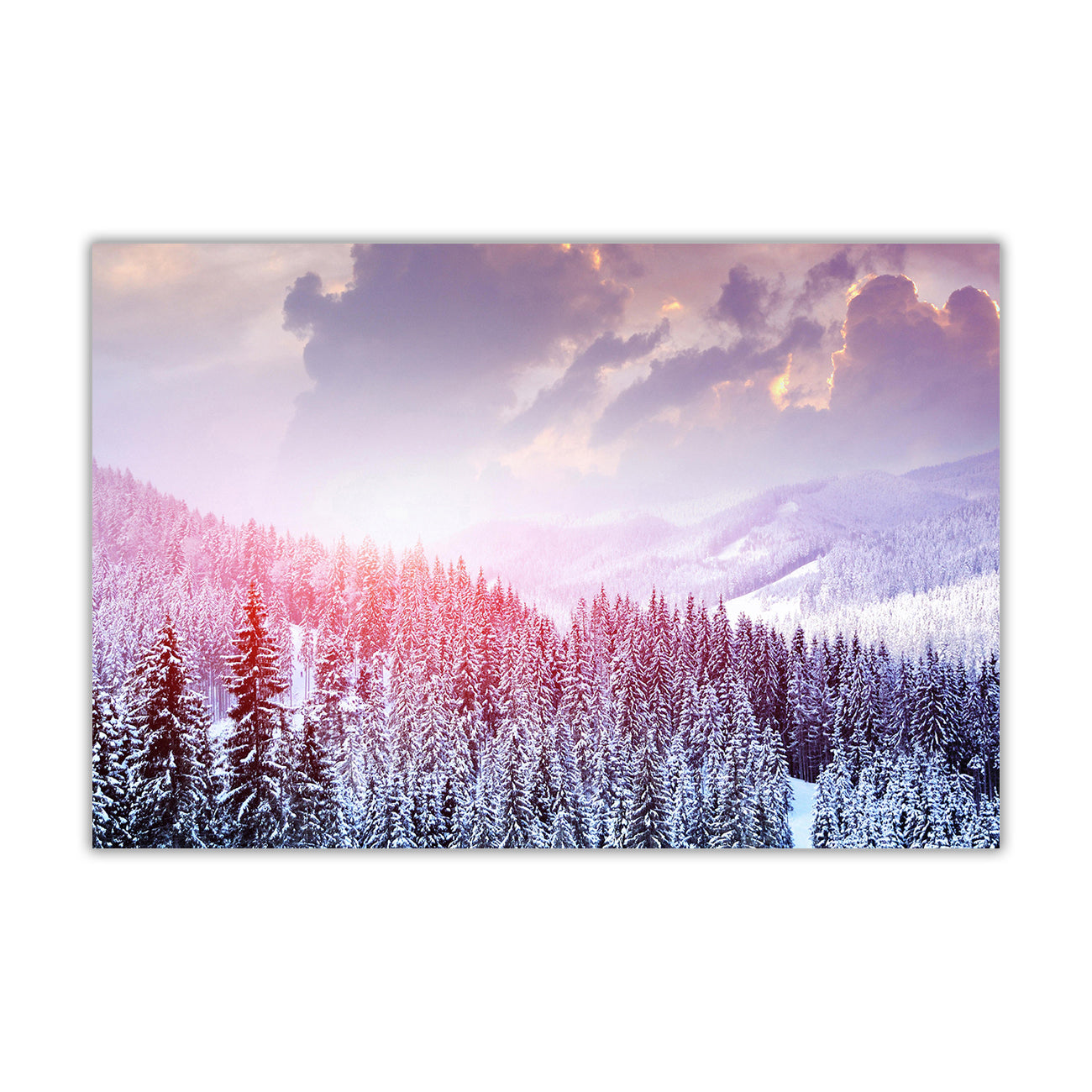 Winter Forest Canvas Wall Art Picture Print for the Living Room, Bedroom, Home Decor