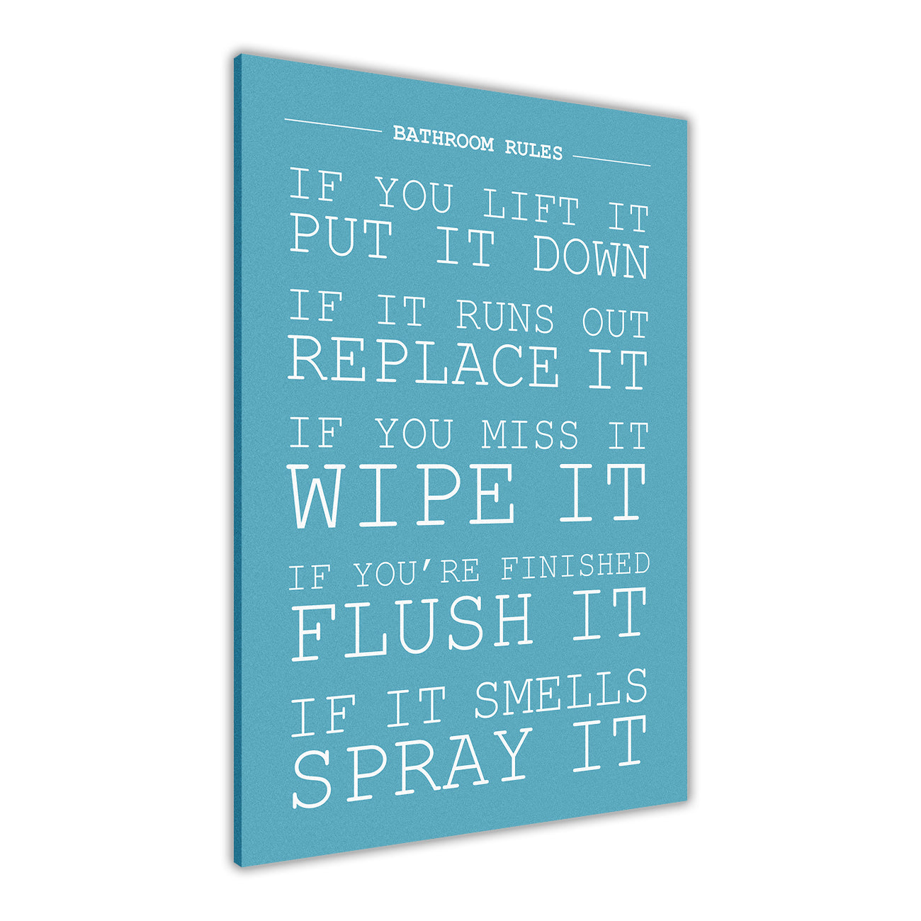 Bathroom Rules Canvas Wall Art Picture Print for the Living Room, Bedroom, Home Decor