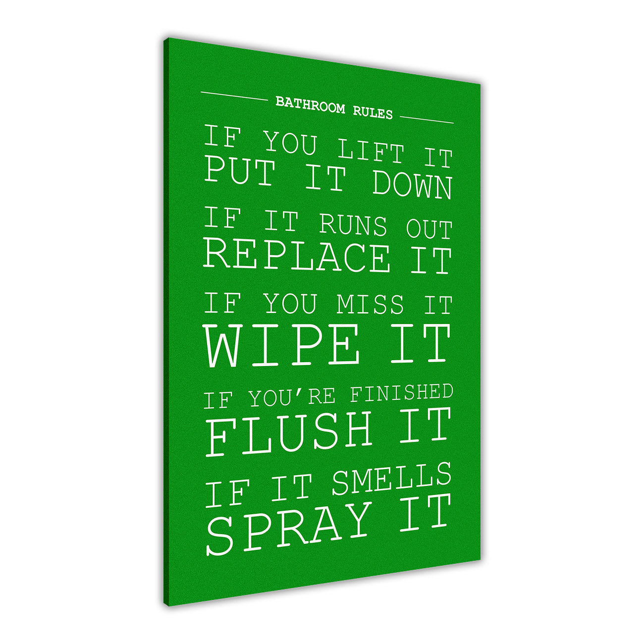 Bathroom Rules Canvas Wall Art Picture Print for the Living Room, Bedroom, Home Decor