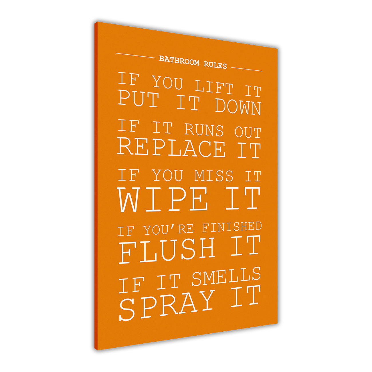 Bathroom Rules Canvas Wall Art Picture Print for the Living Room, Bedroom, Home Decor