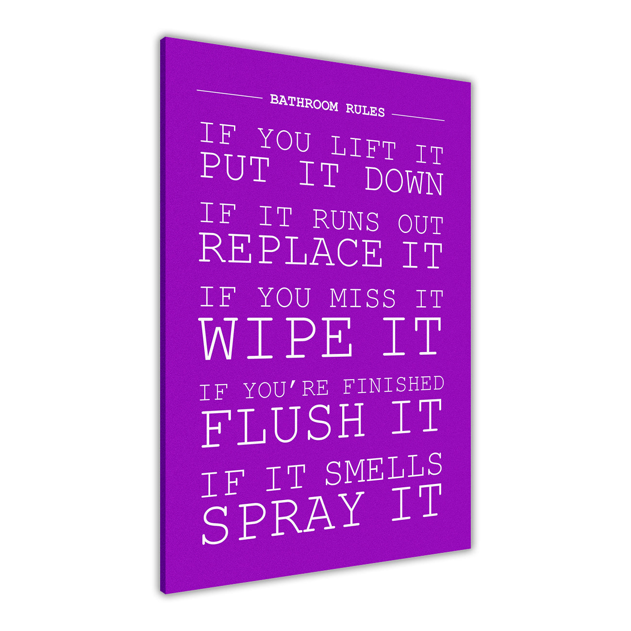 Bathroom Rules Canvas Wall Art Picture Print for the Living Room, Bedroom, Home Decor