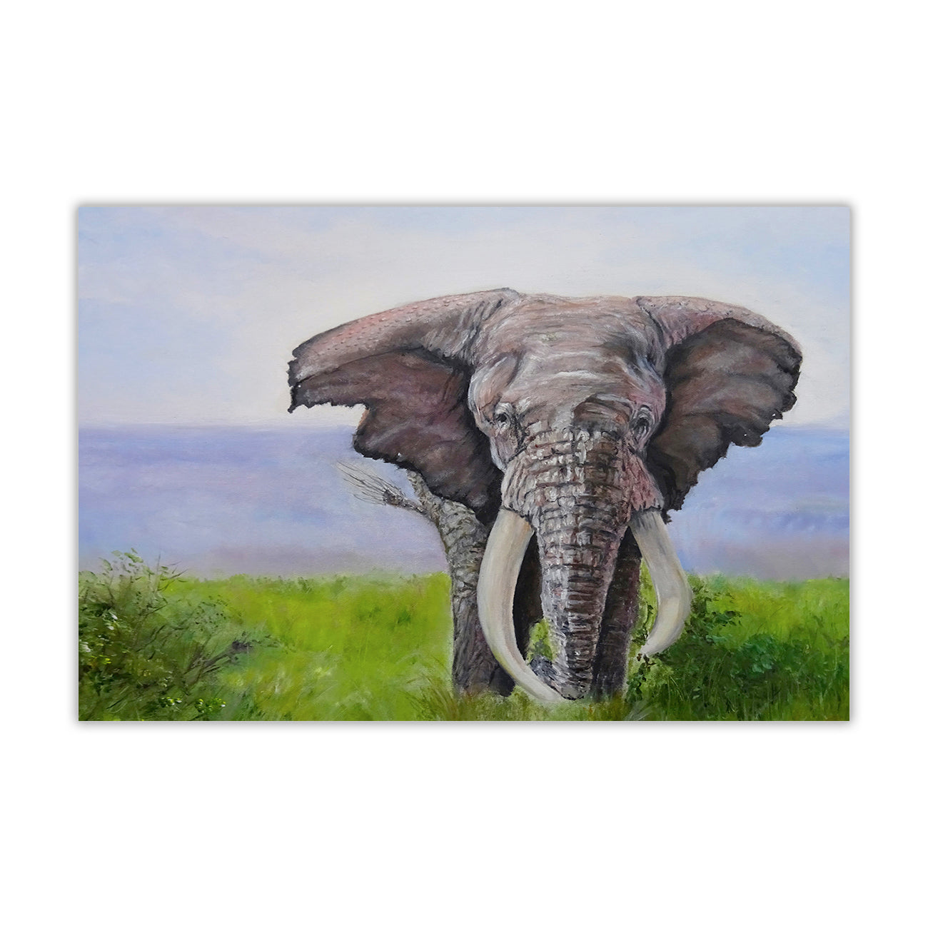 Elephant River Canvas Wall Art Picture Print for the Living Room, Bedroom, Home Decor