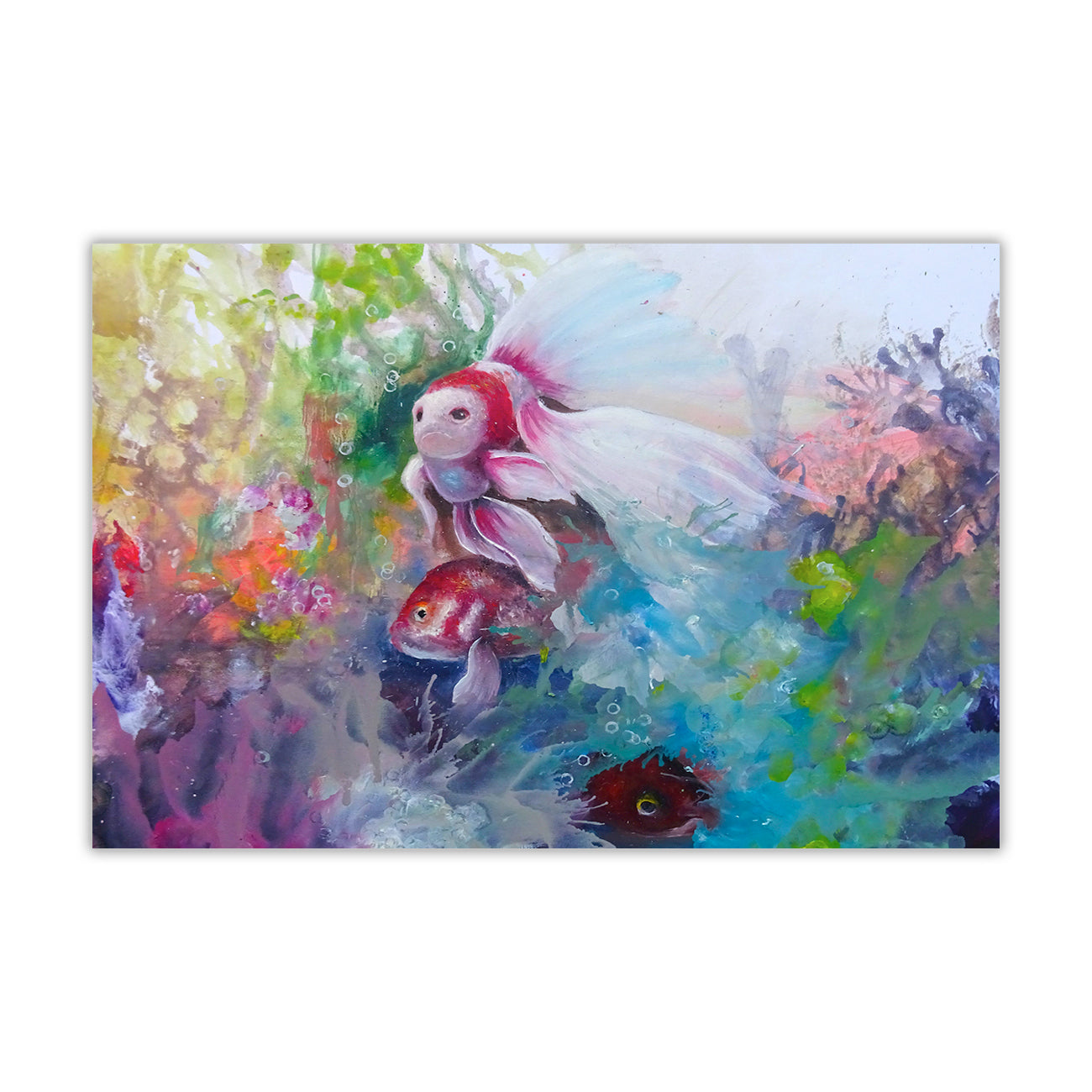 Tropical Fish Canvas Wall Art Picture Print for the Living Room, Bedroom, Home Decor